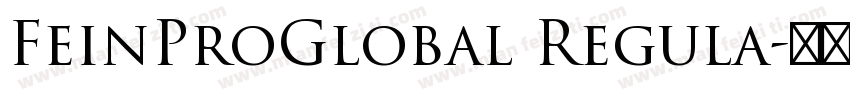 FeinProGlobal Regula字体转换